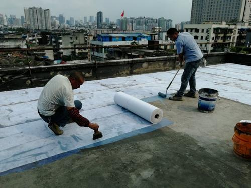 锌仰EPO防水涂料施工